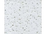 Изображение 1 Акриловый 1193072 Фото 1 Акриловый камень Hanex B-012 OSLO WHITE с отправкой из Киева и Харькова 1193072