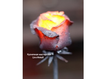 Хлівной, СПД